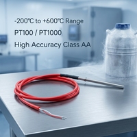 Sonde de mesure de très basse température PROG-SR101-1 PT100 PT1000 en acier inoxydable pour la réfrigération et la lyophilisation