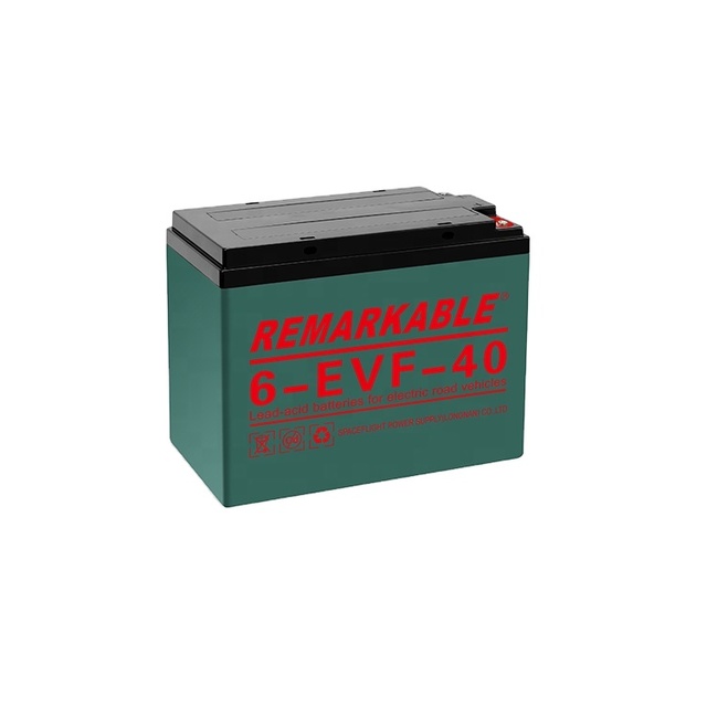 6-EVF-40 Maintenance Free Cart Batteries Exide Electric Bicycle Battery for Electric Bikes