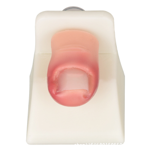 Modèle d'entraînement pour l'élimination des ongles incarnés, et modèle de pratique pour la suppression des rougeurs, gonflements, inflammations et des anéurysmes cutanés de l'orteil - Product Image 4