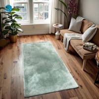 Décor à la maison sol en peluche Shaggy Polyester Moquette Machine faite Polyester antidérapant salon tapis tapis moelleux polonais tapis
