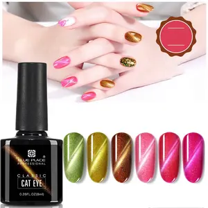 Professional Nail Design Team Supplies Custom Private Logo Soak Off Uv Cat Eye Gel Polish Set