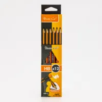 Wholesale charcoal pencil sketches For Writing on Various Surfaces 