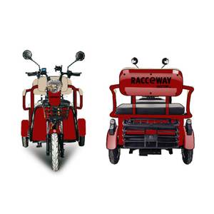 Tricycle électrique RACCEWAY E-BUS 2026, nouveau modèle, 1000W, 72V, 20AH, deux <span class=keywords><strong>places</strong></span>, frein à disque, entrepôt UE - Product Image 3