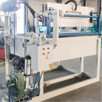 Machine à plateaux à œufs en pulpe légère, machine à plateaux à œufs en papier, machine à plateaux à œufs de caille, plateaux en pulpe mince et respirant pour l'agriculture