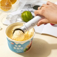 Outil de cuisine Design en aluminium Cuillère à crème glacée thermostatique chauffante à chauffage électrique Poignée confortable