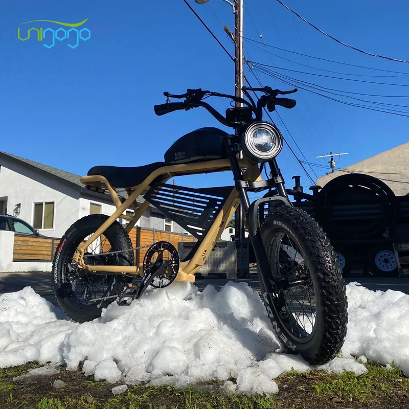 Unigogo/20*4.0 750w 1000w Big Power Fat Tire Electric Mountain E Bike/Snow Bike/Electric Bicycle With CE