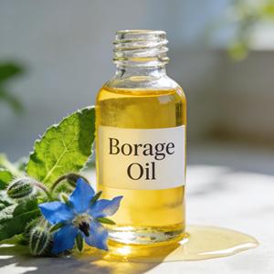 Huile de Bourrache 100% Pure et Naturelle Pressée à Froid, Meilleure Vente, <span class=keywords><strong>Prix</strong></span> de Gros, Huile Essentielle en Vrac - Product Image 3