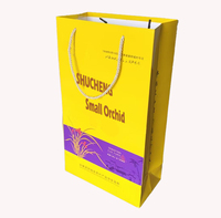 Bolsa de Papel Recubierto A4, Bolsa de Regalo con Logotipo Impreso Personalizado, Bolsa de Papel Resistente con Asa para Pequeñas Empresas