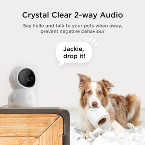 Monitor Inteligente para Mascotas con Visión Nocturna de Alta Definición de 4MP, Juguete Interactivo Remoto con Láser de Doble Banda y Sensor de Movimiento - Product Image 5