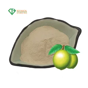 Frutta biologica in polvere verde prugna frutta in polvere verde prugna estratto 10:1 20:1