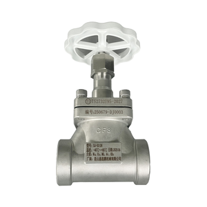 Globo criogénico DJ61F40P DN50 para almacenamiento a granel de GNL, LO2, LN2, LAr, CO2, Globo criogénico DJ-50GN - Product Image 3