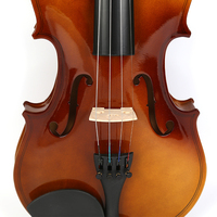 High End Violin Instrument All Solid Wood Violin 4 / 4 Professional