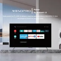 WESOPRO G2 Smart IPTV Dongle 4K Android TV Stick 2 Go de RAM 16 Go de ROM Wi-Fi double bande 2,4 GHz 5,0 GHz avec télécommande BT ATV VS Fire MiNI