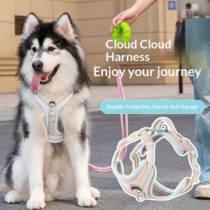 <span class=keywords><strong>Harnais</strong></span> pour chien, laisse en nylon anti-explosion en forme de I, sangle de poitrine pour promener son chien et faire du jardinage en extérieur - Product Image 4