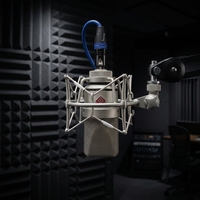 Microfono a Condensatore Professionale DIY 103 con Diaframma Grande, Circuito Originale, Base in Metallo per Performance in Studio e Podcast