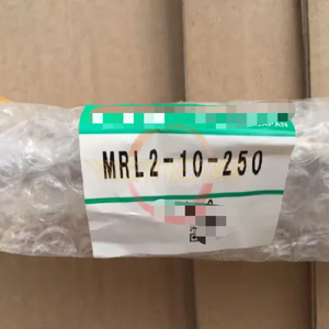 Nouveau Original MRL2-10-250 PAC Industrial Automation PLC & Contrôleurs dédiés 1 PC Livraison gratuite Prêt Stock - Product Image 1