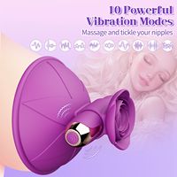 Wiederauf ladbare 10-Gang-Silikon-Nippelklemmen Intensive Vibration Spielzeug für Erwachsene zur erogenen Stimulation
