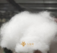 High Quality Washed and Carded Sheep Wool Fiber With Natural White Color Yarn Spinning Wool Fiber