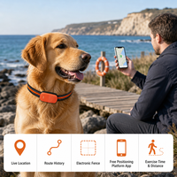 Traceur GPS pour animaux de compagnie G51, compact et élégant, suivi de localisation précis, historique des itinéraires, géofencing, surveillance de la santé