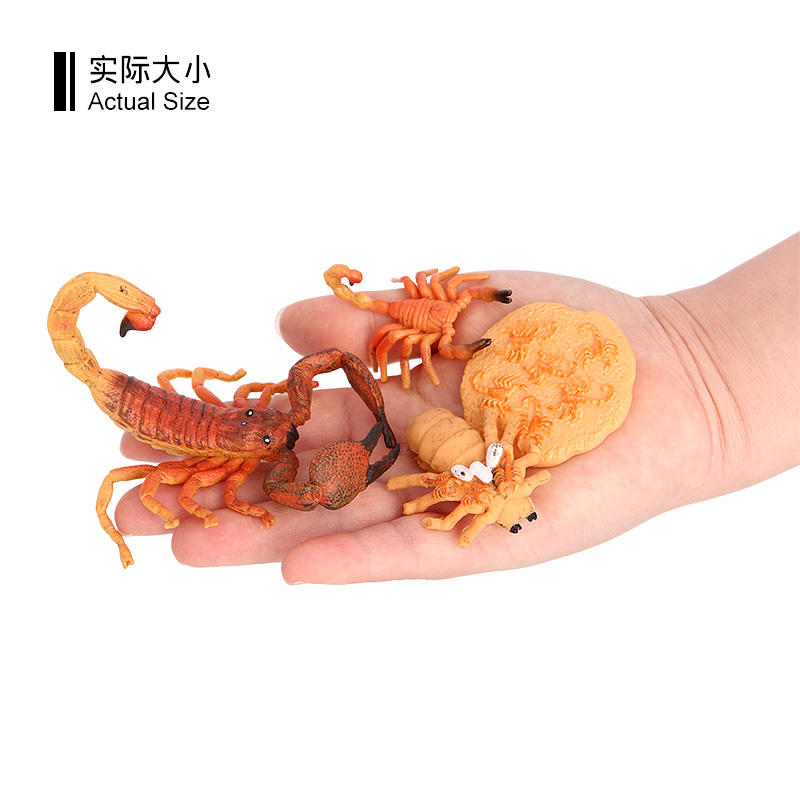 2491 Ciclo de vida del escorpión