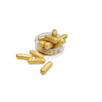 Service OEM/ODM Personnalisé : Capsules certifiées à base de plantes 500mg pour l'énergie, la vitalité et le soutien immunitaire masculin, et pour la relation des couples adultes