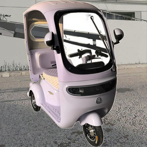 Tricycle électrique tout-terrain violet clair |   Conception semi-fermée |   Livraisons locales et services de <span class=keywords><strong>livraison</strong></span> par les commerçants - Product Image 3