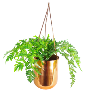 Pots de fleurs et jardinières suspendues couleur cuivre pour la décoration intérieure de la maison plante suspendue en métal - Product Image 3