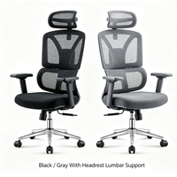 Chaise de bureau ergonomique en maille, chaise d'ordinateur, chaise de formation, chaise de designer, mobilier de bureau pour projets commerciaux, vente en gros, directement de l'usine