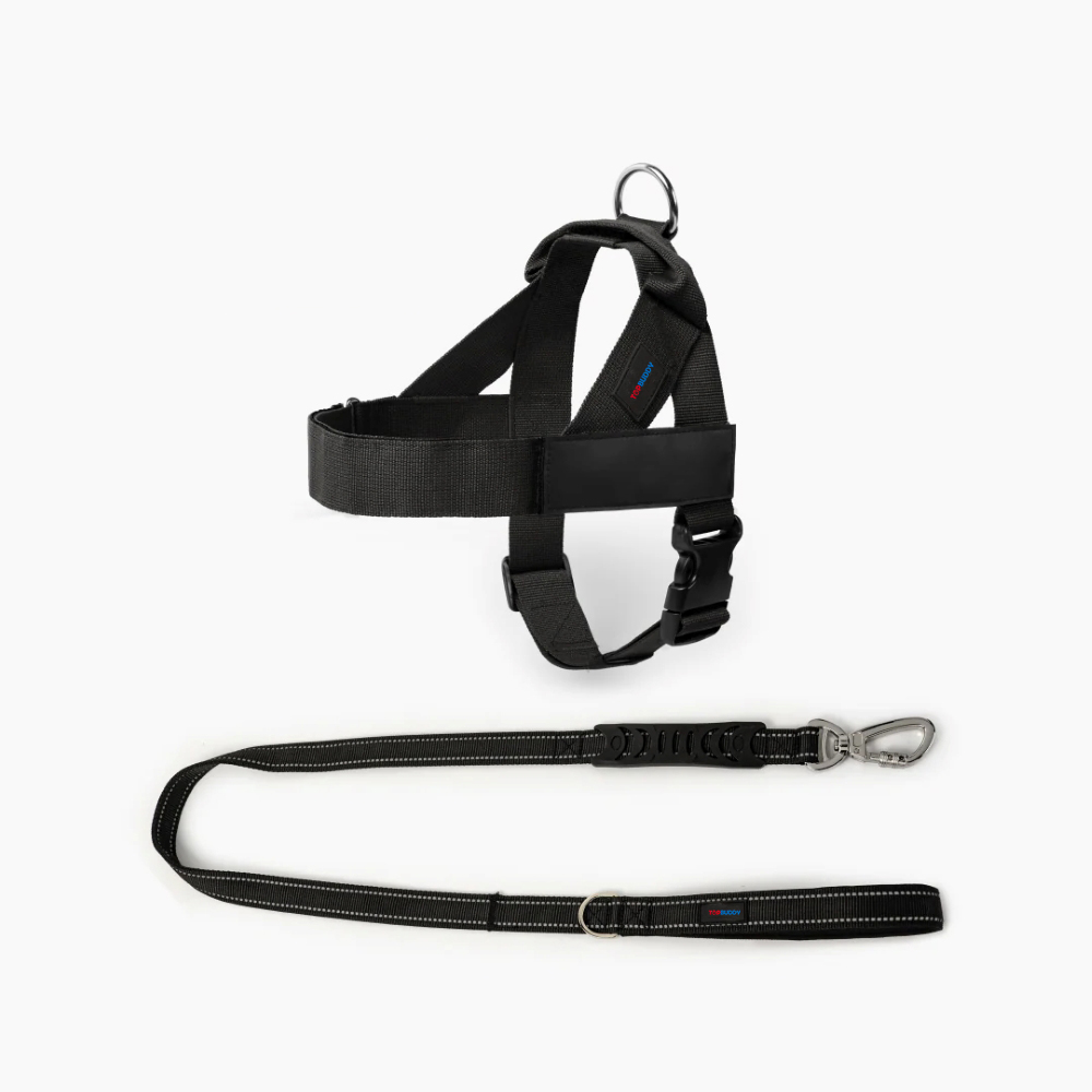 Classic Leash