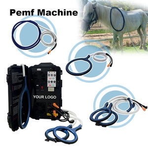 Máquina PEMF de Alta Potencia para Caballos con Doble Control para Relajar los Músculos Tensados y Mejorar el Confort Físico - Product Image 1