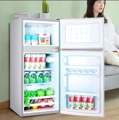 43L Mini Compact Refrigerator for Sale | Double-Door Fridge