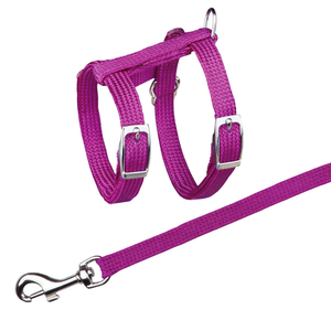 Ensemble laisse et harnais pour chat en nylon, couleurs assorties, pour petits chats - Product Image 2