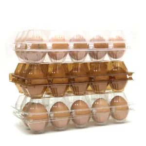 Máy làm khay trứng hiệu quả cao Máy ép nhựa tự động đa trạm