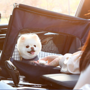 Hersteller Custom neuen Stil Hochwertige Outdoor Chew Proof Haustier Hund Bett Hund Autos itz Bett Für Reisen - Product Image 6