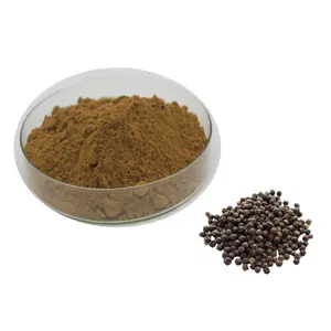 Pure Natural Black Pepper Extract 95%Piperine Black Pepper Extract Powder