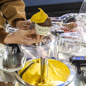 Machine à glaces et sorbets certifiée NSF, avec chariot personnalisable, options lait, <span class=keywords><strong>chocolat</strong></span>, eau, yaourt, fruits, noix, roues, multifonctionnelle - Product Image 1