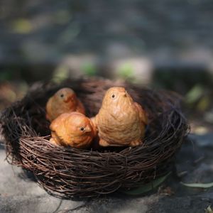 Handmade Wood Bird Nest With Carved Birds And Eggs Natural Shape Home Decoration Zhejiang Craft - Product Image 4