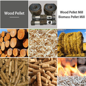 Máquina de Pellets de Madera Songbai con Motor y Rodamientos, 380V, Producción de 1000-10000kg/h, Venta Directa de Fábrica, Gran Descuento - Product Image 6