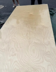 Contreplaqué de bouleau <span class=keywords><strong>BB</strong></span>/<span class=keywords><strong>BB</strong></span> B/<span class=keywords><strong>BB</strong></span> sablé et traité anti-UV pour fonds de caisse de sonorisation d'instruments de musique, panneaux publicitaires, armoires, placards et meubles - Product Image 2