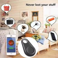 Traceur Bluetooth iTag, localisateur, alarme anti-perte, dispositif de suivi antivol, porte-clés, chercheur de clés - pour animaux de compagnie