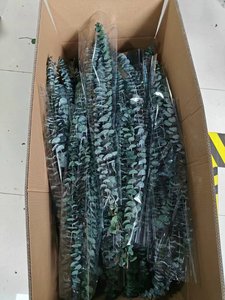 Vente en gros de <span class=keywords><strong>feuilles</strong></span> d'<span class=keywords><strong>eucalyptus</strong></span> séchées de haute qualité, tiges naturelles, branches écologiques pour la décoration de douche, fleurs séchées véritables - Product Image 6