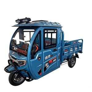 Nuevo Triciclo Agrícola Cerrado Jinfu de Alta Potencia 1000W, Carga Útil de 200-300kg, 50-70km de Autonomía - Product Image 2