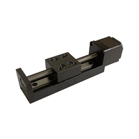 Actionneur linéaire avec encodeur, course efficace 50-500 mm, charge 10 kg, type vis 1204 1605 1610 pour machine CNC, moteurs DC