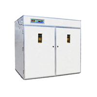 Incubateur solaire 5280 pour œufs de poulet, équipement de volaille couveuse