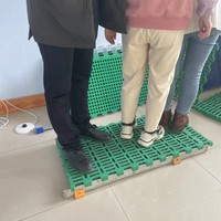 Nouveau revêtement de sol en plastique PP robuste et durable pour les fermes d'ovins et caprins avec 1 an de garantie, équipement d'élevage animal