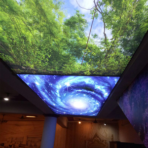 Giá Rẻ Nhất Căng Phim Trần Ở Trung Quốc Hiệu Ứng 3d Căng Trần Pop Nhà Pvc Phim Trần - Product Image 2