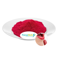 FocusHerb Extrait d'herbes de qualité alimentaire Pigment alimentaire hydrosoluble E120 Poudre de carmin de cochenille