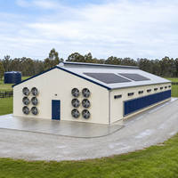 Nave Avícola de Estructura de Acero para Granja de Pollos, con Techo de Paneles Solares y Ventilación, Diseño a Medida