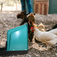Nichoir facile à nettoyer pour poules pondeuses, utilisation en élevage avicole