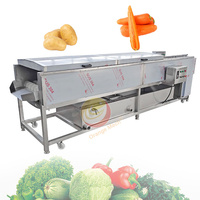 Industriële Verse Groente Fruit Reiniging Droogverwerking Machines Droogdata Wasmachine Te Koop